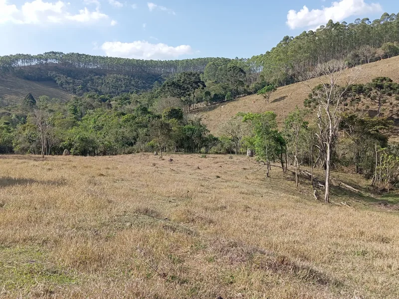 Belissíma Fazenda 80 por cento tratorável 4