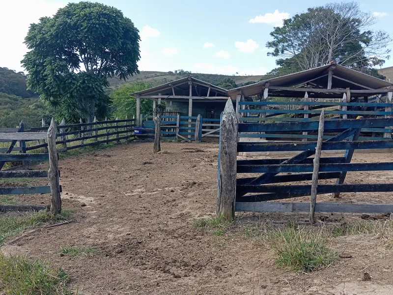 Fazenda com excelente pastagem 1