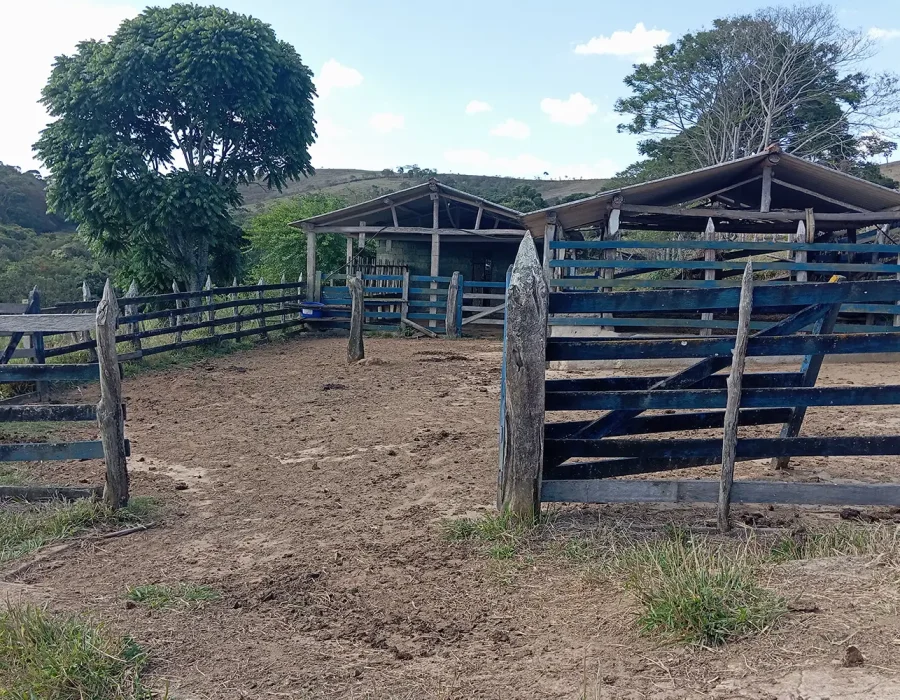 Fazenda com excelente pastagem 1
