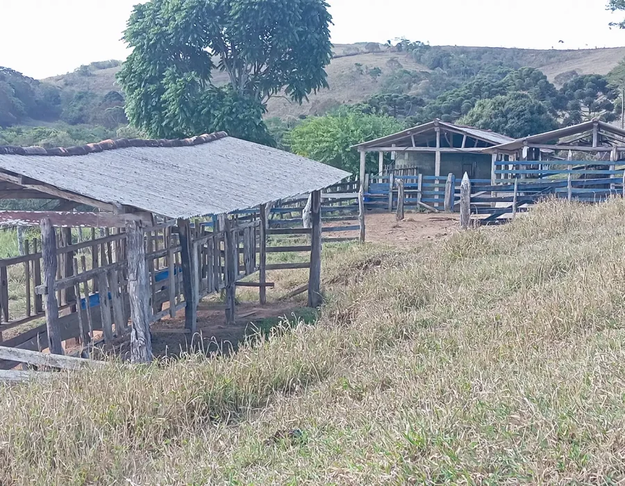 Fazenda com excelente pastagem 2