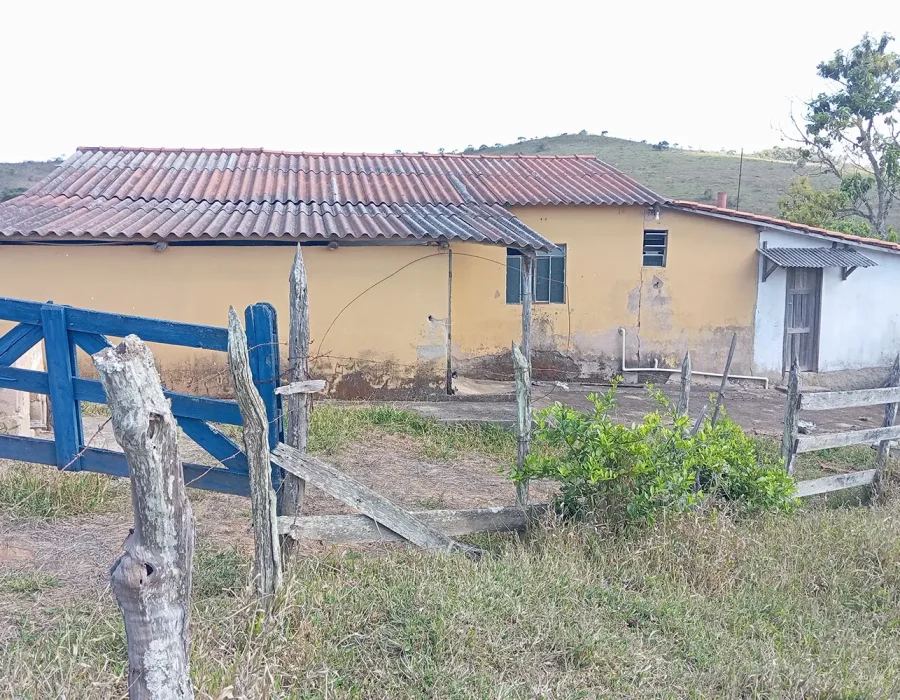 Fazenda com excelente pastagem 3