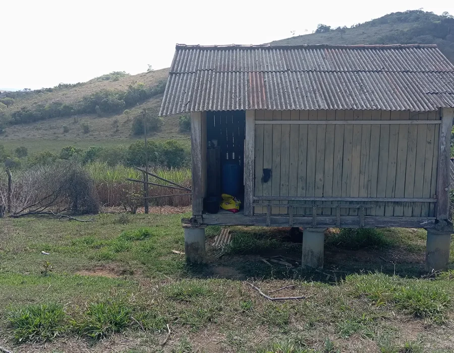 Fazenda com excelente pastagem 4