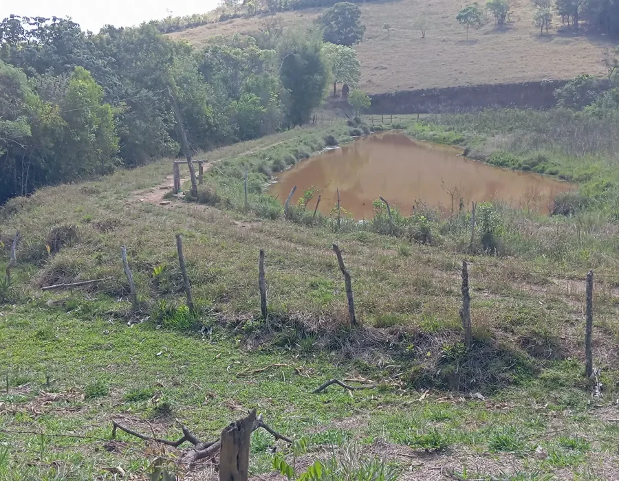 Fazenda com excelente pastagem 7