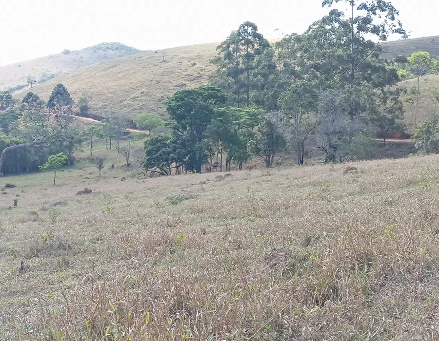 Fazenda com excelente pastagem 8