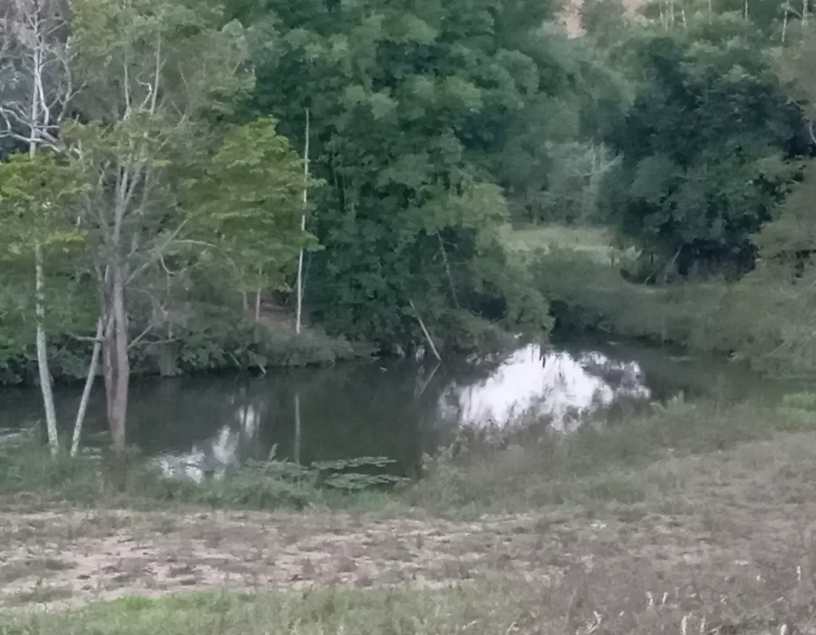 Sítio Excelente 1-2