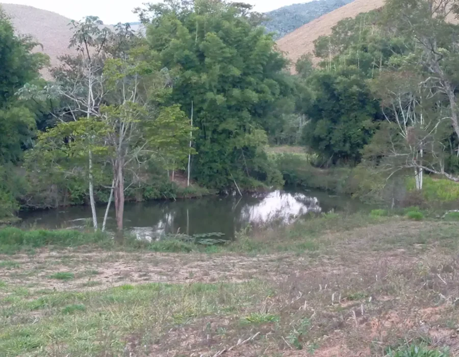 Sítio Excelente 1-3