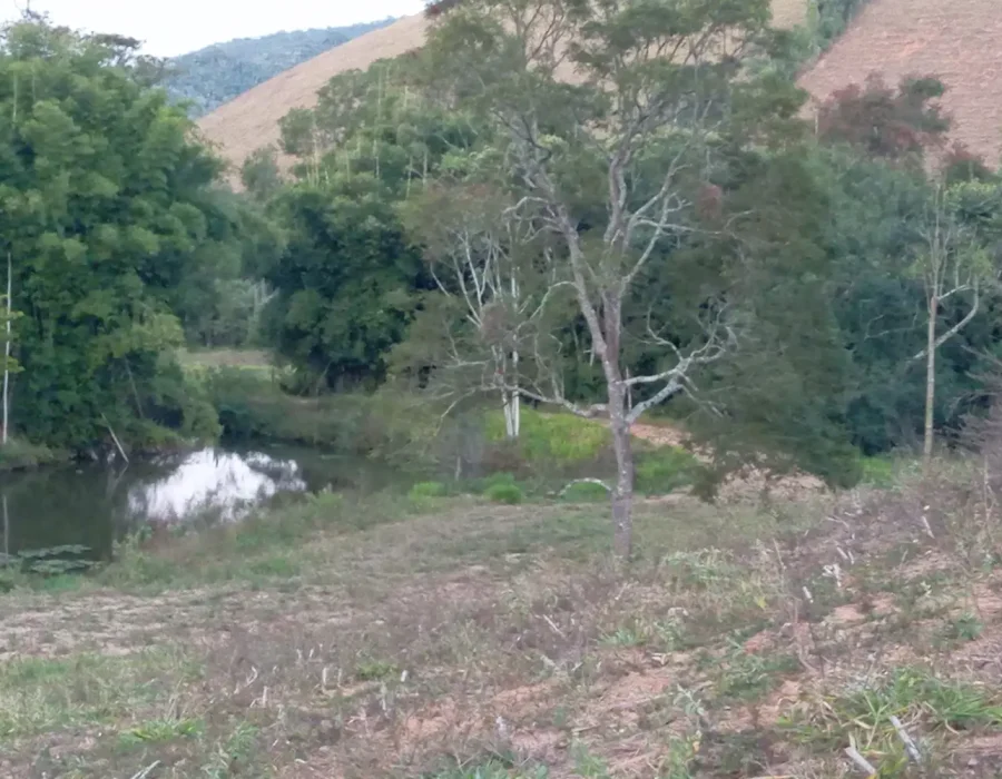 Sítio Excelente 1-4