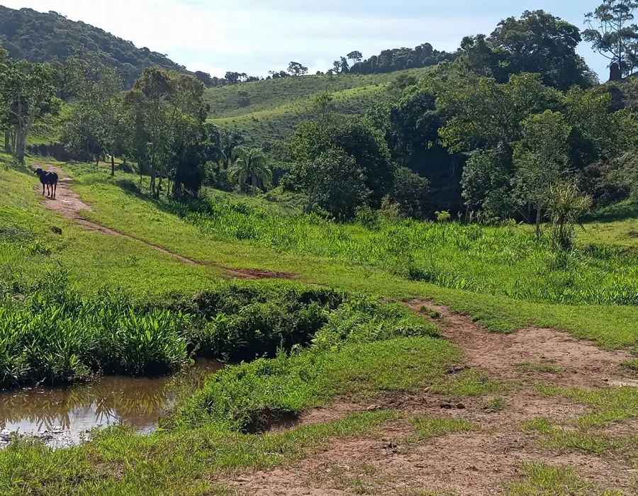 Sítio com 100 Hectares 1