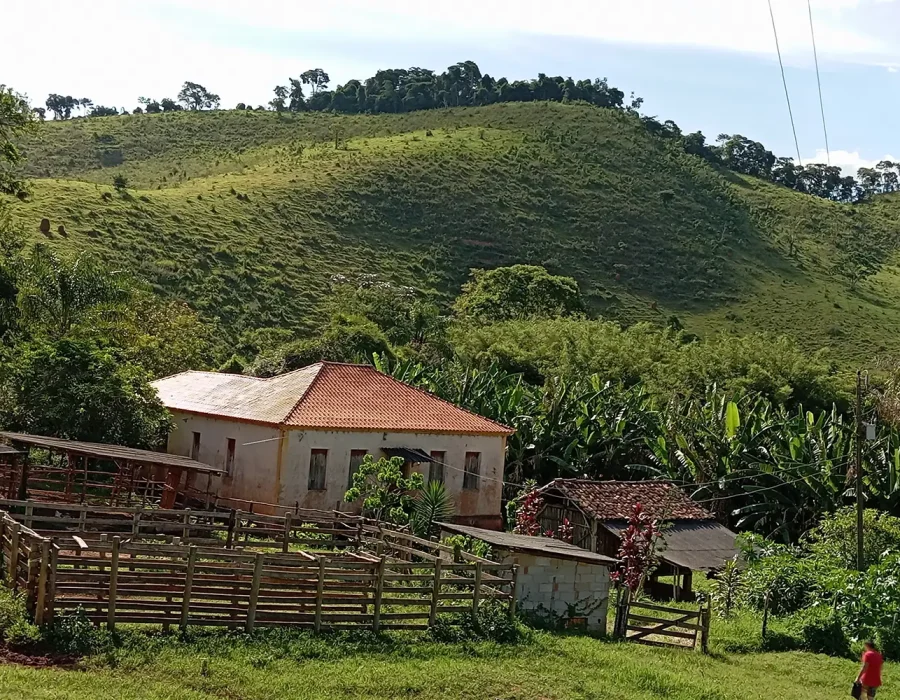 Sítio com 100 Hectares 2