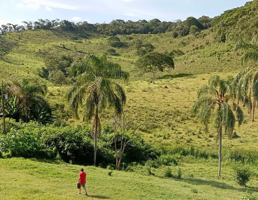 Sítio com 100 Hectares 3