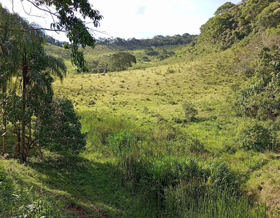 Sítio com 100 Hectares 4