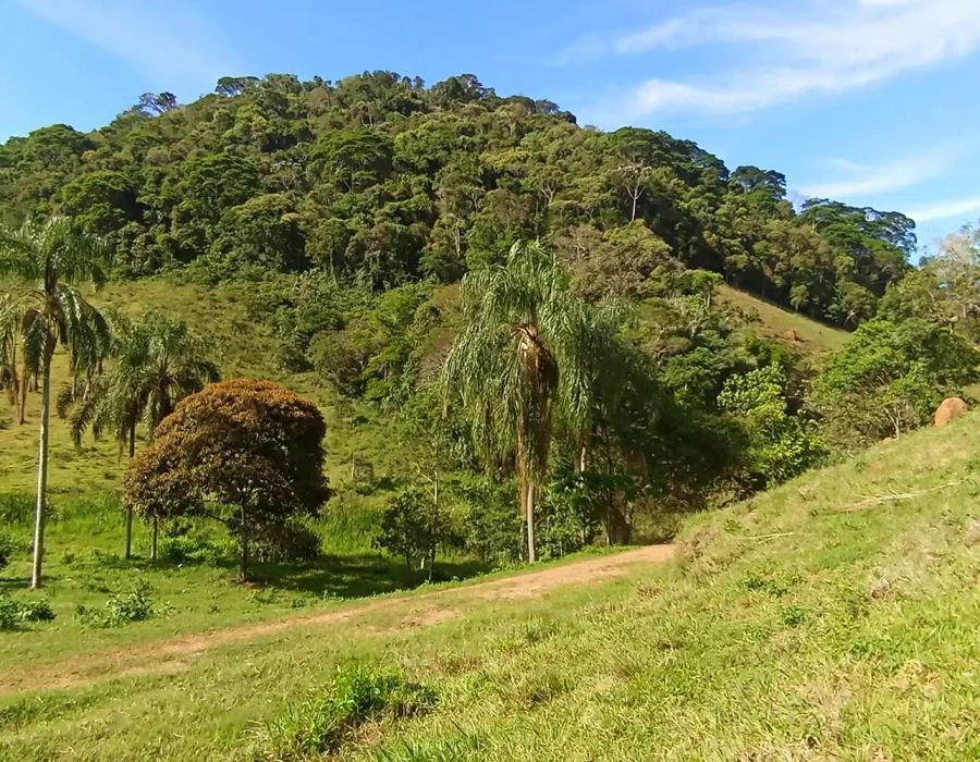 Sítio com 100 Hectares 5