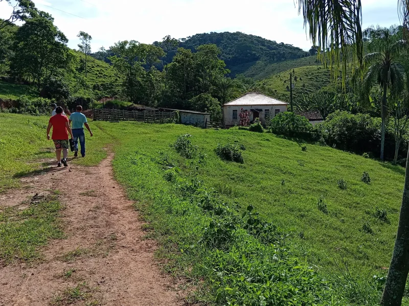 Sítio com 100 Hectares 6