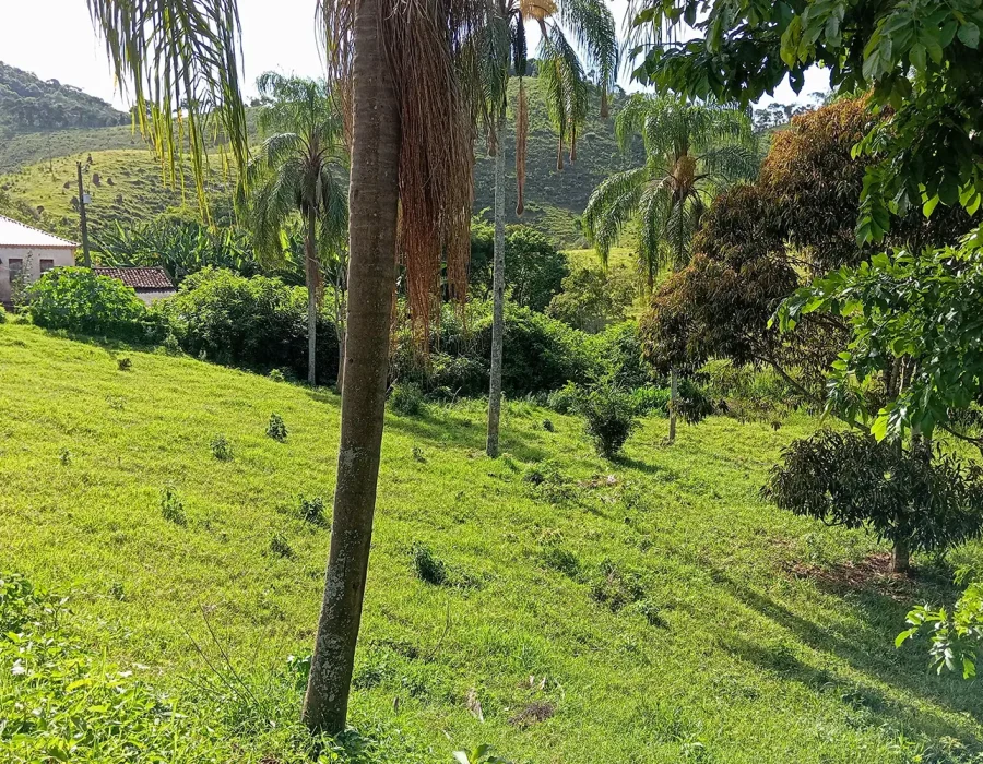 Sítio com 100 Hectares 7