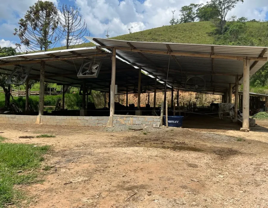 Sítio dos Lírios 10