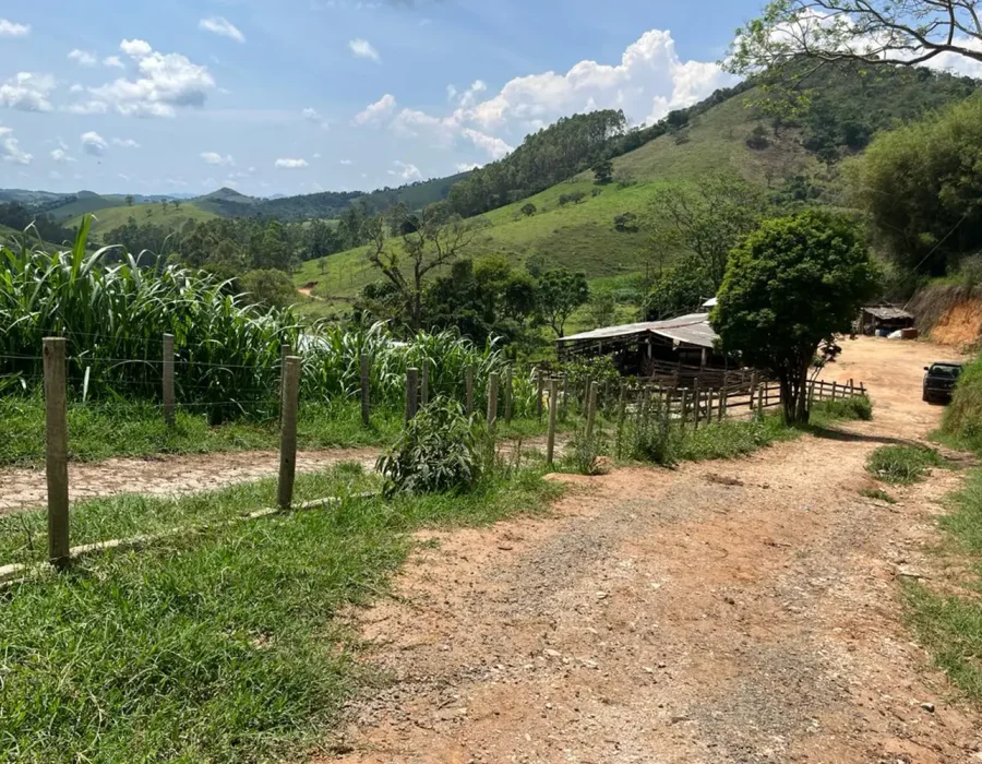 Sítio dos Lírios 2