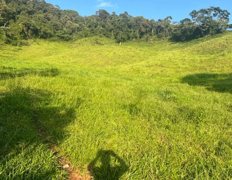 Sítio dos Lírios 3