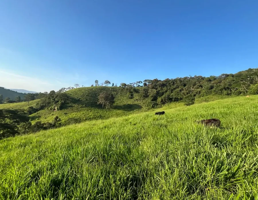 Sítio dos Lírios 4