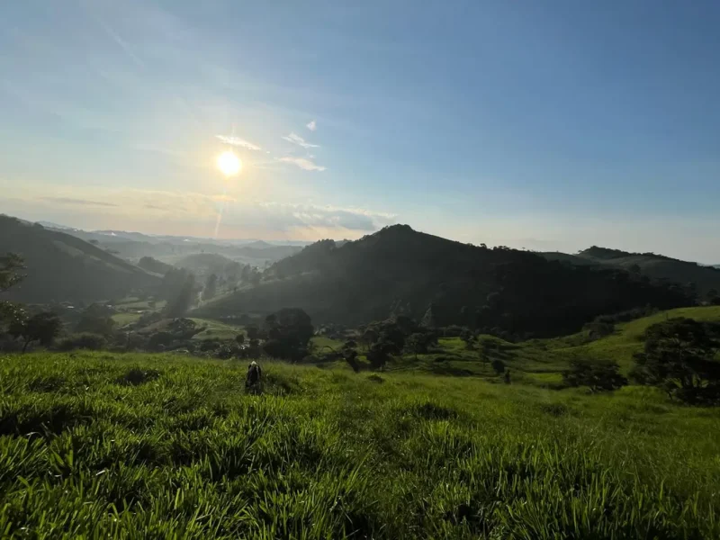 Sítio dos Lírios 5