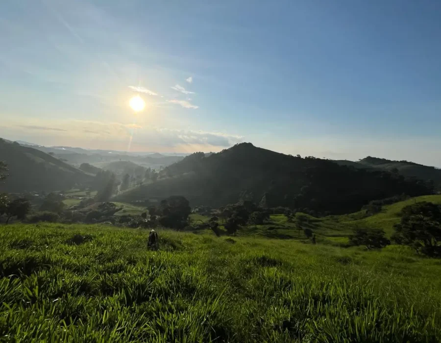 Sítio dos Lírios 5