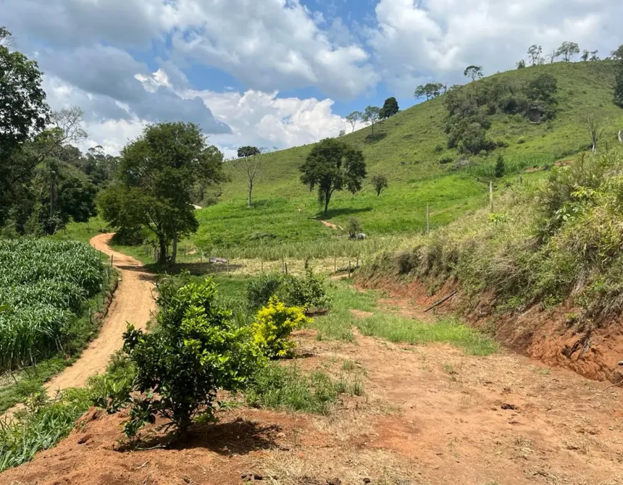 Sítio dos Lírios 6