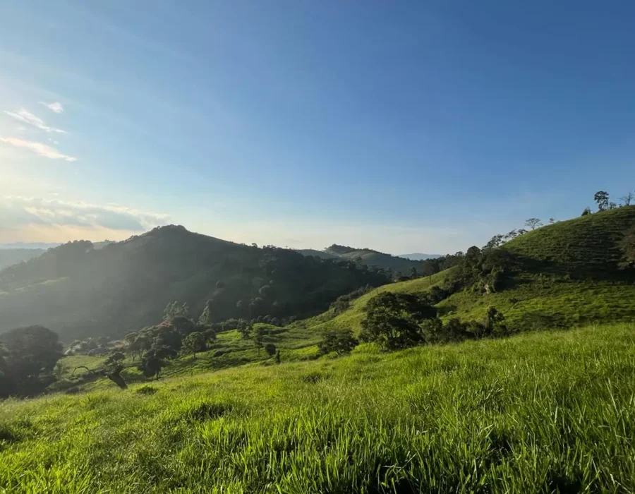 Sítio dos Lírios 8