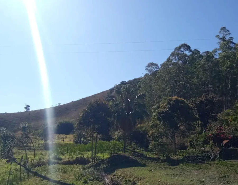 Sítio para criação de gado 3