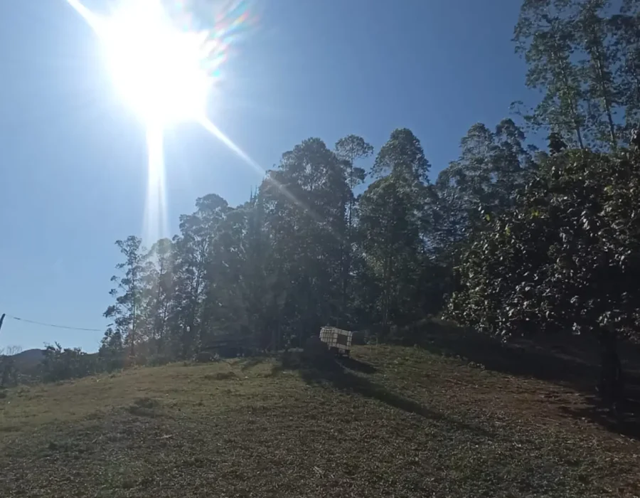 Sítio para criação de gado 4