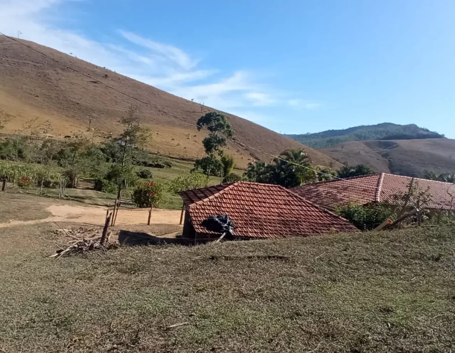 Sítio para criação de gado 5
