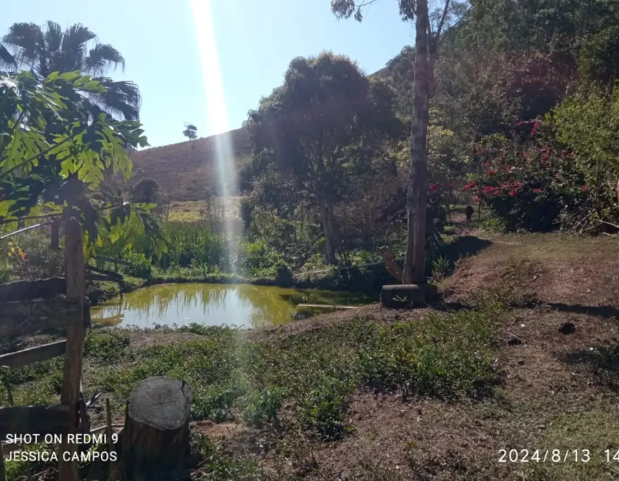 Sítio para criação de gado 8