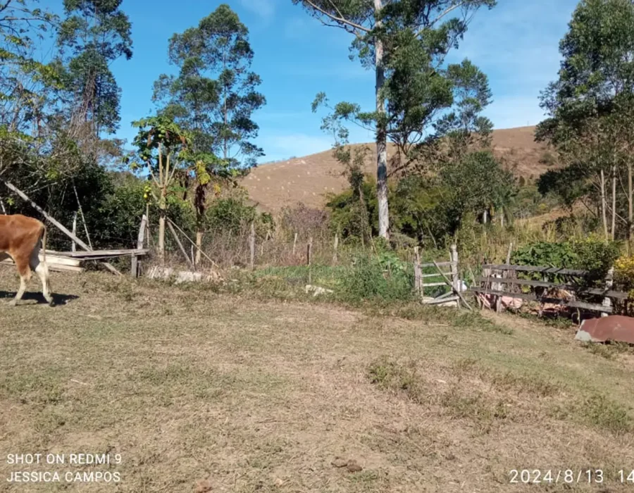 Sítio para criação de gado 9